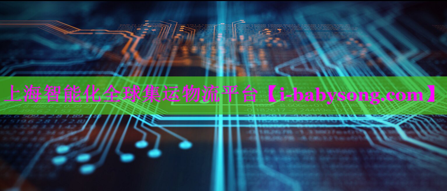 上海智能化全球集运物流平台
